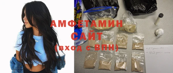 индика Козловка
