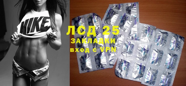 индика Козловка