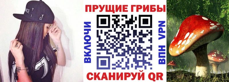 Галлюциногенные грибы ЛСД  Нижняя Тура 